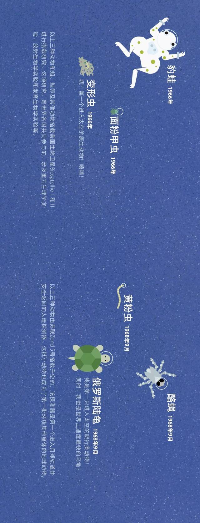 宇宙动物图鉴822 / 作者:dsadsadsasd / 帖子ID:50349