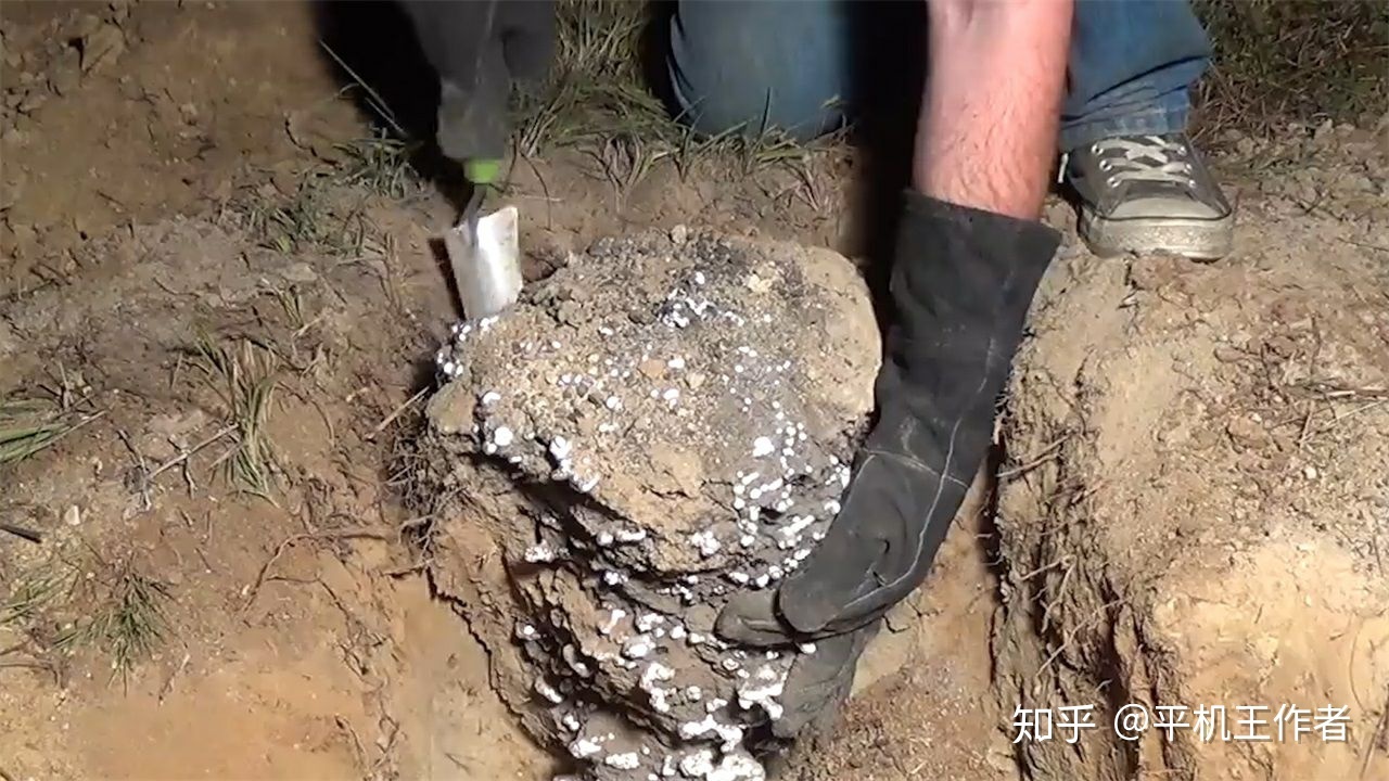 外星人会有什么方式入侵？952 / 作者:MyTWbwzg / 帖子ID:50530