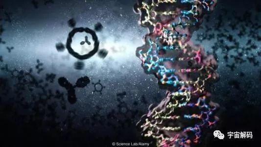 被刻意掩盖的事实，人类起源的真相849 / 作者:印度大拿 / 帖子ID:50545