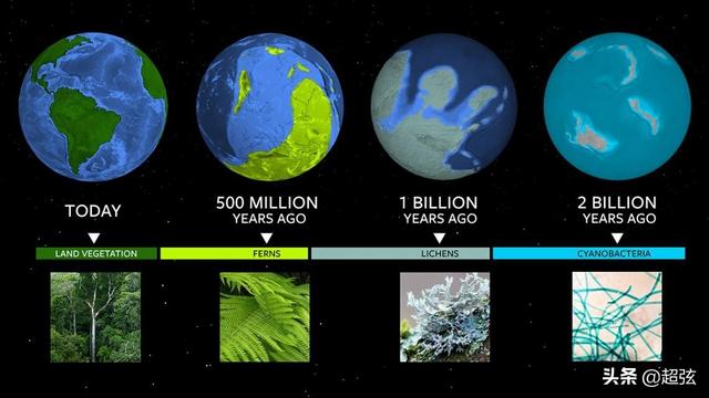 科学家沸腾了！研究发现植物的神奇能力可以用来找外星人844 / 作者:dsadsadsasd / 帖子ID:50564