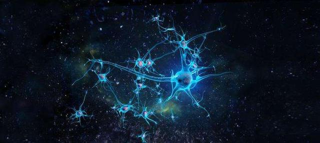 宇宙到底长什么样？科学家给出的假想，宇宙是一个人629 / 作者:YiHYcCgb / 帖子ID:50637