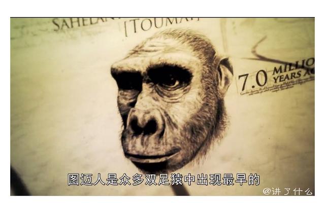 人类起源研究的重大发现！他会是世界上第一个“人”吗？882 / 作者:chaojiwantong / 帖子ID:50646