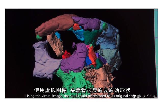 人类起源研究的重大发现！他会是世界上第一个“人”吗？590 / 作者:chaojiwantong / 帖子ID:50646