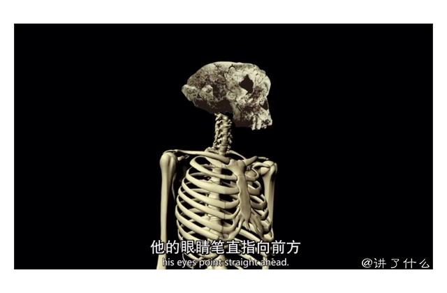 人类起源研究的重大发现！他会是世界上第一个“人”吗？652 / 作者:chaojiwantong / 帖子ID:50646