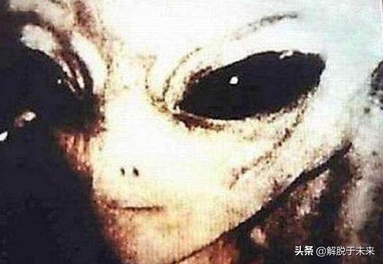 巴西亚马逊外星人是真是假？研究人员分析出结果71 / 作者:5674152 / 帖子ID:50673
