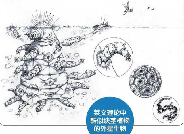 如何正确的辨别外星人？598 / 作者:流氓插件 / 帖子ID:50897