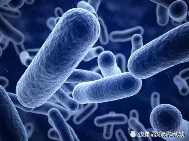 外星人新突破！天文学家说：在这里或能找到外星人的证据254 / 作者:cdixeji / 帖子ID:50993
