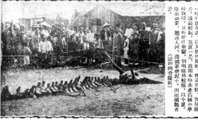 1934年辽宁营口坠龙事件是真的吗，龙骨证据竟被日本人盗走820 / 作者:网上的人生 / 帖子ID:51063