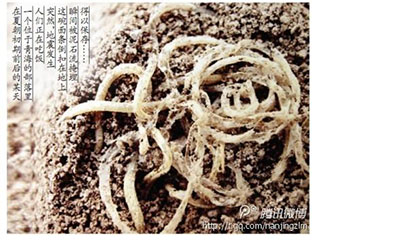 科学家称七大未解之谜不易解523 / 作者:网上的人生 / 帖子ID:51179