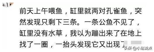 你相信有平行世界吗？网友：99年的事情，你们都忘记了？778 / 作者:ejinjing / 帖子ID:51020