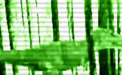 刚果开赛暴龙是真的吗481 / 作者:明明是我 / 帖子ID:53944