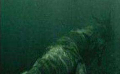 青海湖海底惊现12米巨型真龙，真龙图片曝光震惊众人993 / 作者:网上的人生 / 帖子ID:51149