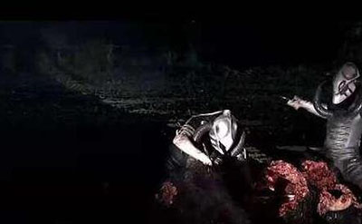 人类杀死了地球原住民从何说起，尼安德特人灭绝原因分析887 / 作者:揭秘者 / 帖子ID:55980