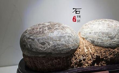 惊动世界的恐龙蛋之谜，中国惊现5000枚亿万年前恐龙蛋663 / 作者:网上的人生 / 帖子ID:51174