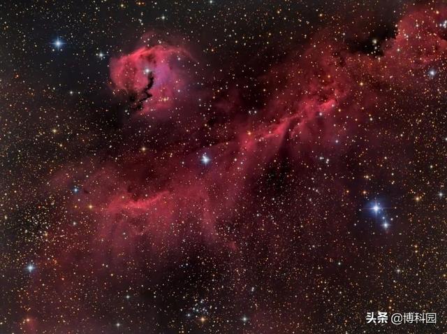 真是一只迷人的宇宙海鸥！海鸥星云，光翅膀就跨度100光年444 / 作者:darny / 帖子ID:51474