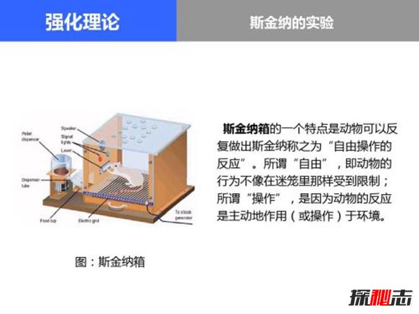 斯金纳箱的恐怖之处 斯金纳箱说明了什么951 / 作者:网上的人生 / 帖子ID:51519