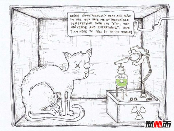 薛定谔的猫比喻什么？薛定谔的猫通俗解释133 / 作者:网上的人生 / 帖子ID:51595