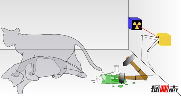 薛定谔的猫比喻什么？薛定谔的猫通俗解释582 / 作者:网上的人生 / 帖子ID:51595