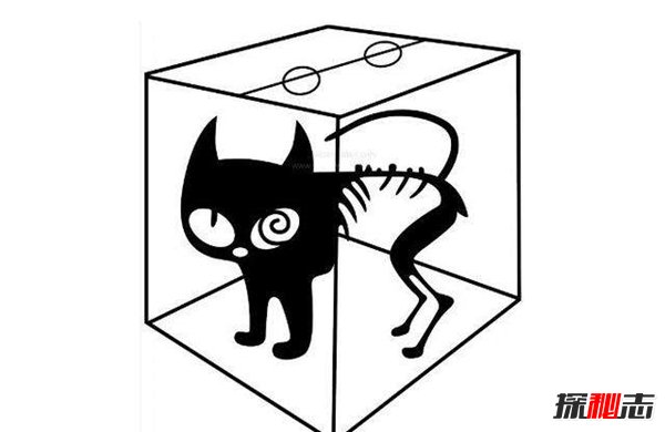 薛定谔的猫比喻什么？薛定谔的猫通俗解释414 / 作者:网上的人生 / 帖子ID:51595