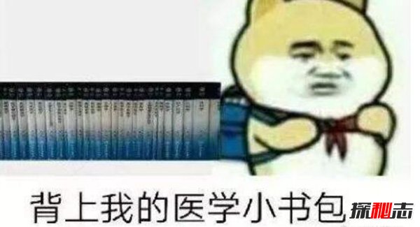 为什么说学医毁三代学法毁一生 这两个工作不值得做？628 / 作者:网上的人生 / 帖子ID:51603
