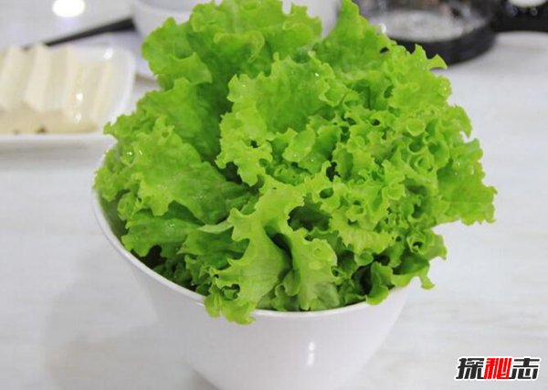 生菜是致癌物吗？常吃生菜致癌是谣言275 / 作者:网上的人生 / 帖子ID:51611