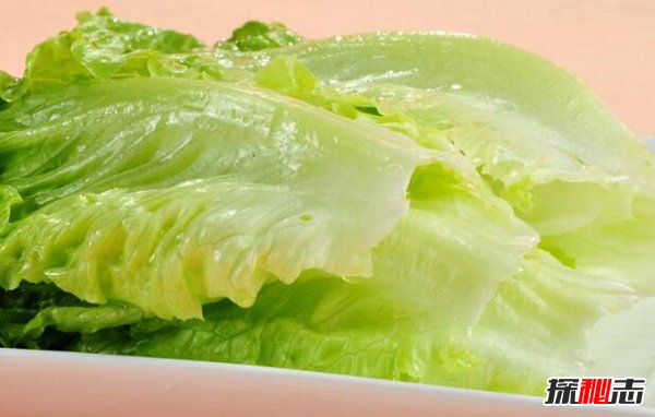 生菜是致癌物吗？常吃生菜致癌是谣言396 / 作者:网上的人生 / 帖子ID:51611
