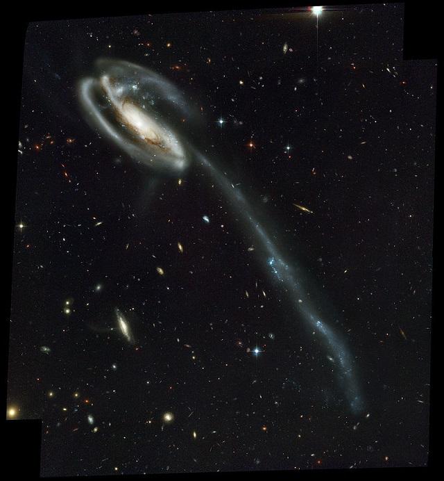 宇宙中形状最奇特的五大星系299 / 作者:daomei / 帖子ID:51892