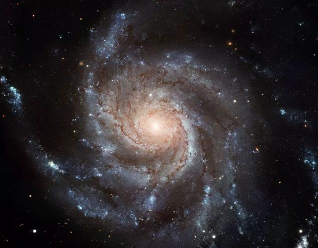 天文学家发现最早的旋涡星系904 / 作者:爱上阿南 / 帖子ID:51935
