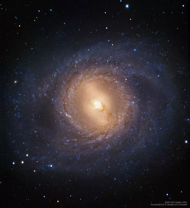 M95：带内环的旋涡星系572 / 作者:bushuang / 帖子ID:51937