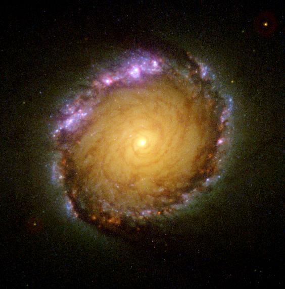 壮观的旋涡星系NGC 1512的核心环567 / 作者:jeff963 / 帖子ID:51948