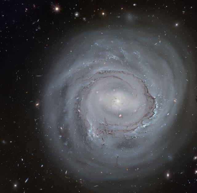 哈勃望远镜拍摄的苍白旋涡星系NGC 4921340 / 作者:vooper / 帖子ID:51949