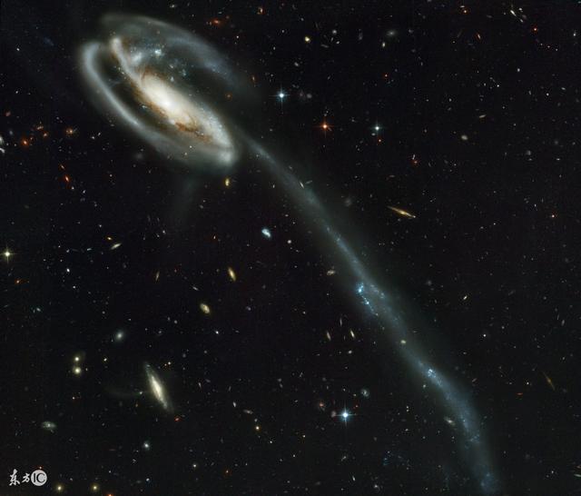 蝌蚪星系(Tadpole Galaxy)：（UGC 10214）405 / 作者:光头人1 / 帖子ID:52004