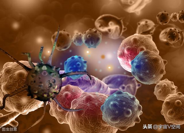 人类文明是否被外星人所控制！这些原因如何解释？397 / 作者:快乐.每一天 / 帖子ID:52045