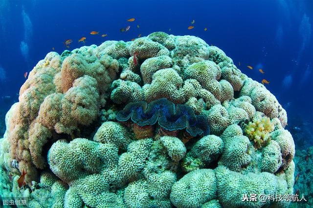 寻找外星人的全新方式来了，外星人还能遁形多久，拭目以待724 / 作者:cdixeji / 帖子ID:52097
