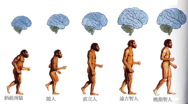 人类起源究竟来自何方？科学家：有这三种可能345 / 作者:闲不住a / 帖子ID:52099