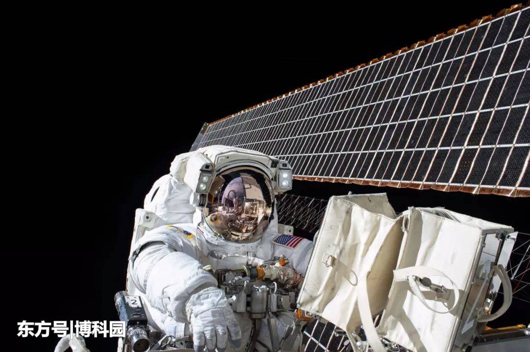 太空飞行会持续影响肠道中的微生物780 / 作者:CCouQPvx / 帖子ID:52223