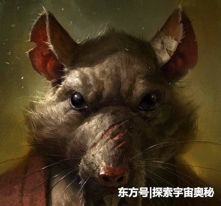 神农架地区再现神秘动物，当地人称为“驴头狼”，疑似史前动物266 / 作者:cdixeji / 帖子ID:52293
