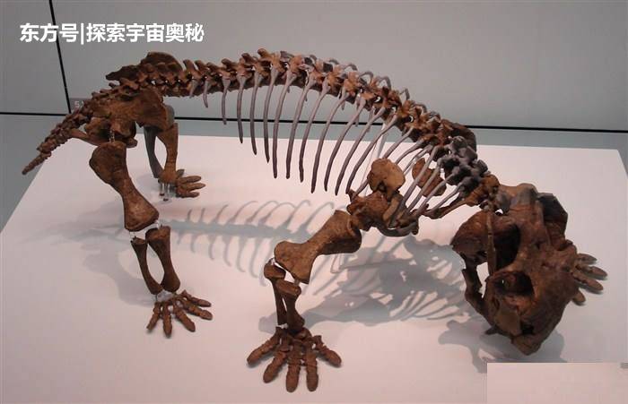 在恐龙当老大之前，这种食草动物曾是地球霸主，数量多达10亿头392 / 作者:fishbiscuit456 / 帖子ID:52295