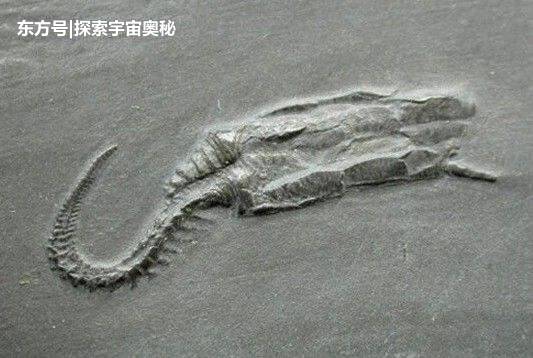 在恐龙当老大之前，这种食草动物曾是地球霸主，数量多达10亿头631 / 作者:fishbiscuit456 / 帖子ID:52295