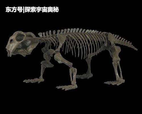 在恐龙当老大之前，这种食草动物曾是地球霸主，数量多达10亿头999 / 作者:fishbiscuit456 / 帖子ID:52295