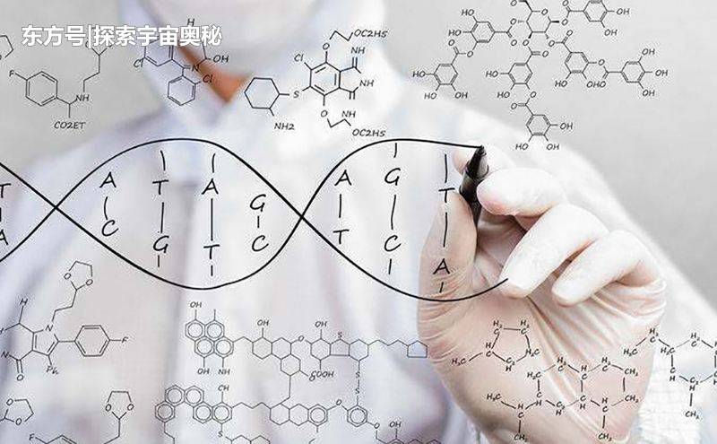 人类与黑猩猩基因仅差1.6%，生物基因透露出人类真正的起源地398 / 作者:爱上阿南 / 帖子ID:52296