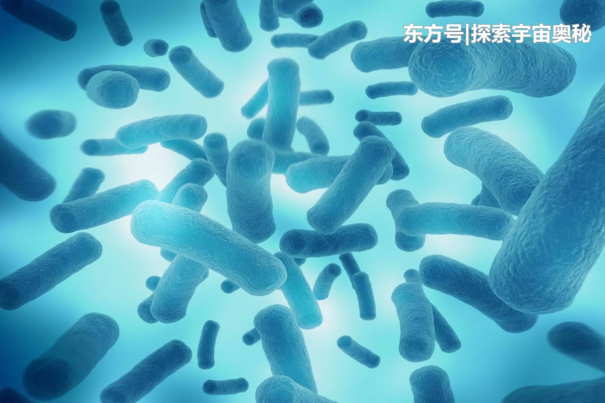 地底出现神秘生态系统，复杂程度令人咂舌，没有氧气它们也能生存394 / 作者:nestnall / 帖子ID:52297