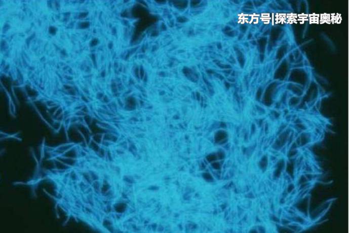 地底出现神秘生态系统，复杂程度令人咂舌，没有氧气它们也能生存742 / 作者:nestnall / 帖子ID:52297