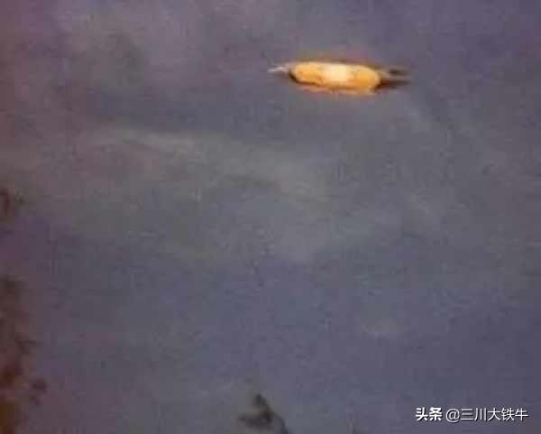 24张全球最疑似UFO的照片，走过路过不要错过517 / 作者:fishbiscuit456 / 帖子ID:52333