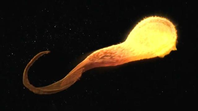 黑洞吞进去的恒星和光都去哪里了？（科技）550 / 作者:jeff963 / 帖子ID:52349