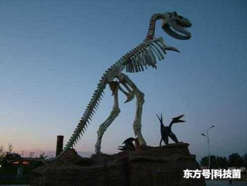 质疑生物进化论，为何只有恐龙化石而没有人类化石，科学家给理由696 / 作者:vpbiqva / 帖子ID:52368