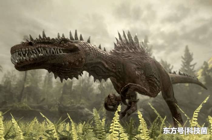 质疑生物进化论，为何只有恐龙化石而没有人类化石，科学家给理由721 / 作者:vpbiqva / 帖子ID:52368