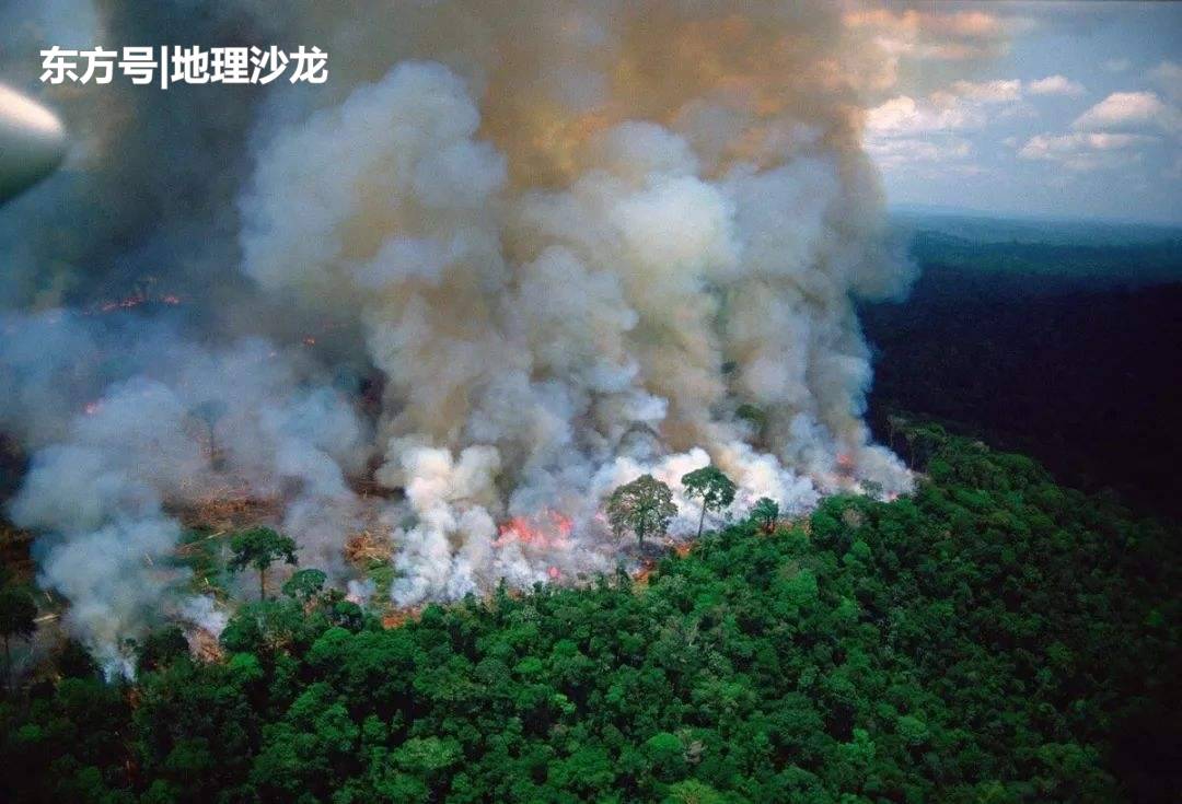 被誉为“地球的肺”的亚马孙雨林正在燃烧，为何当地不为所动？564 / 作者:武汉嘉瑞 / 帖子ID:52393