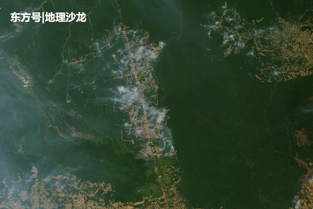 被誉为“地球的肺”的亚马孙雨林正在燃烧，为何当地不为所动？650 / 作者:武汉嘉瑞 / 帖子ID:52393