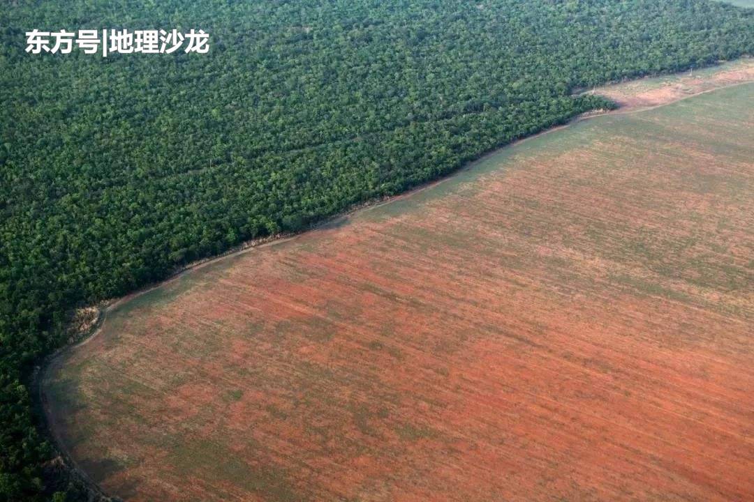 被誉为“地球的肺”的亚马孙雨林正在燃烧，为何当地不为所动？344 / 作者:武汉嘉瑞 / 帖子ID:52393